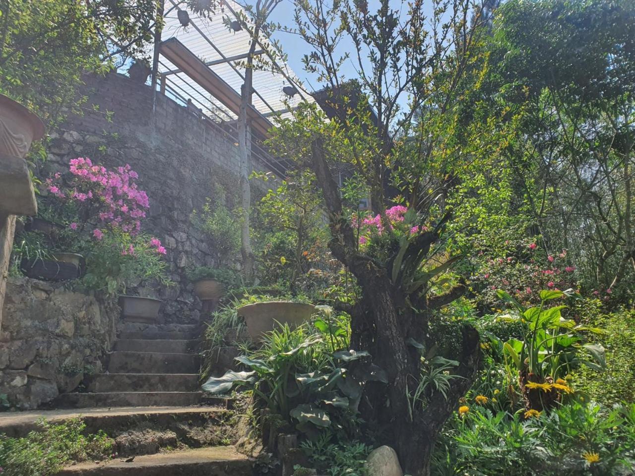 Sapa Garden Bungalow Eksteriør billede