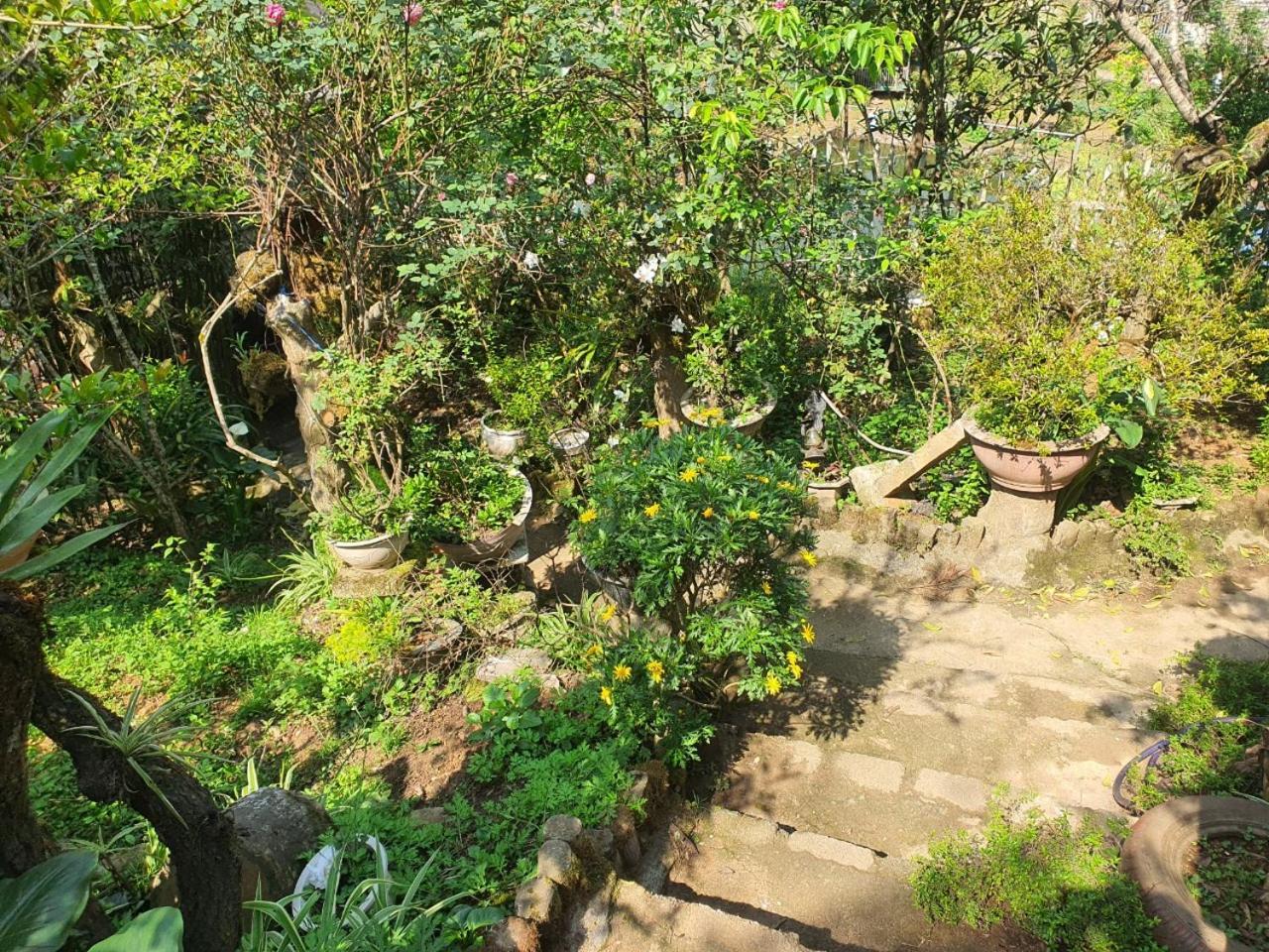 Sapa Garden Bungalow Eksteriør billede