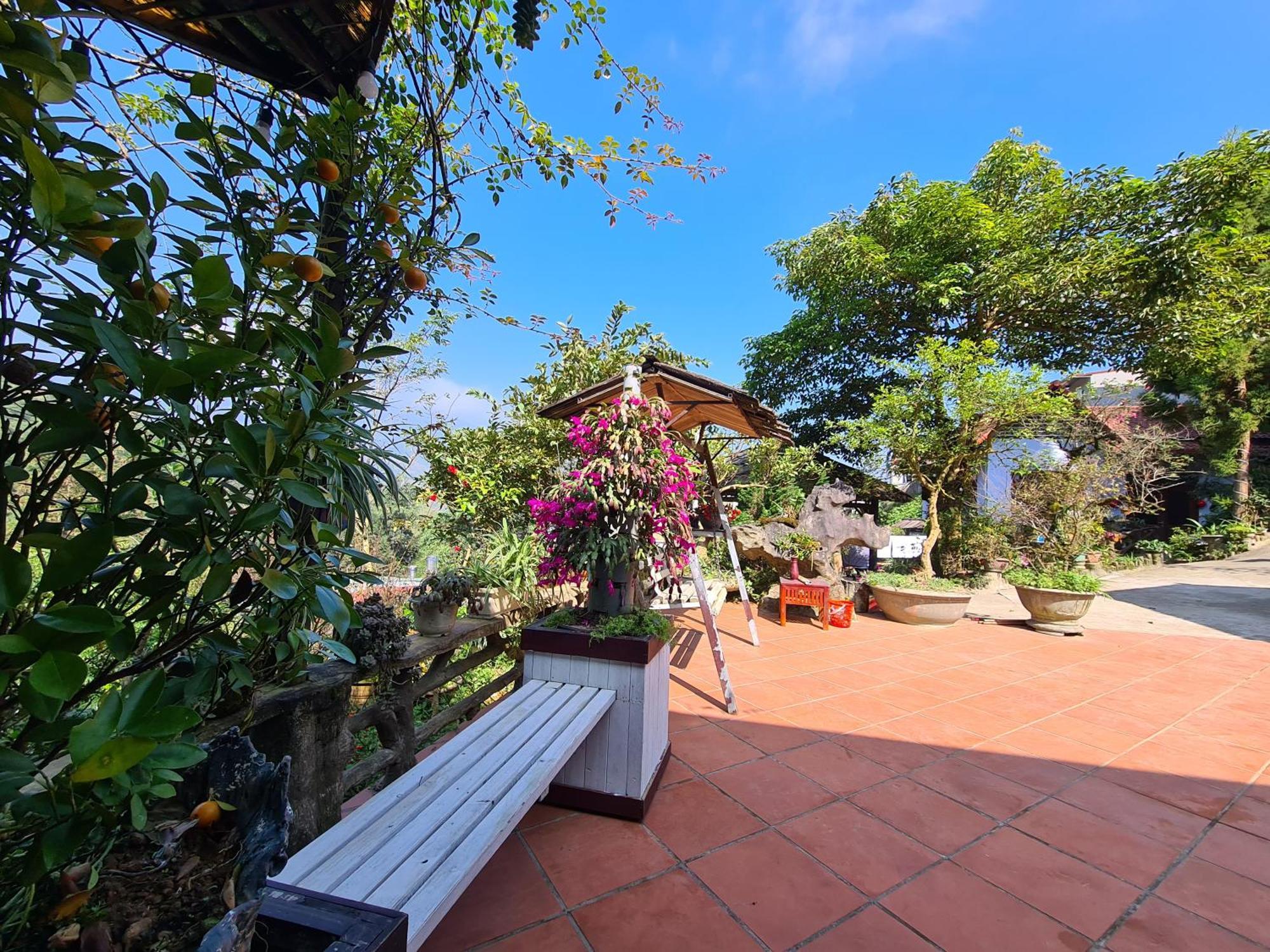 Sapa Garden Bungalow Eksteriør billede